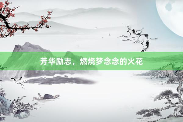 芳华励志，燃烧梦念念的火花