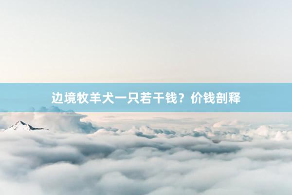 边境牧羊犬一只若干钱？价钱剖释